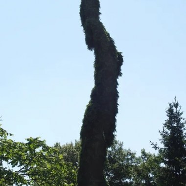 1312
