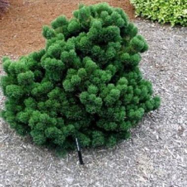 4-15
