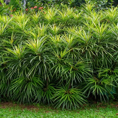 shutterstock_2054744579